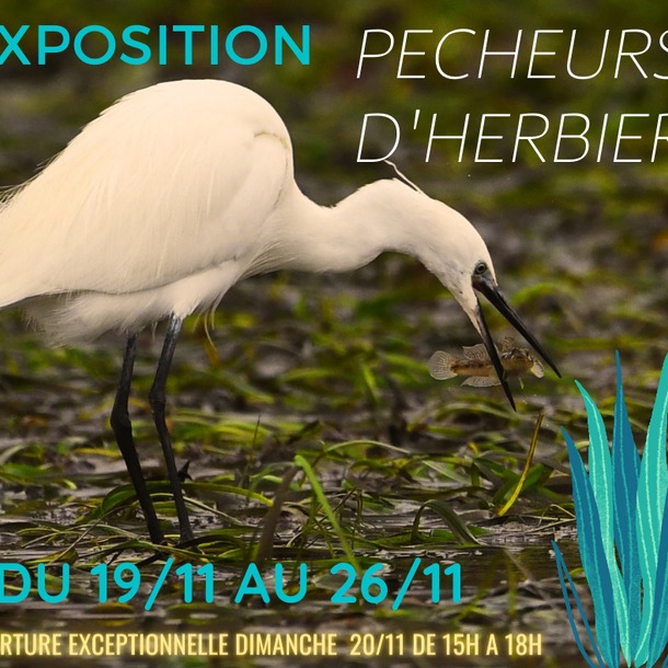 Exposition pêcheurs d'herbiers